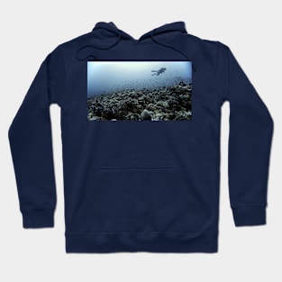 THE CORAL NICHE Hoodie